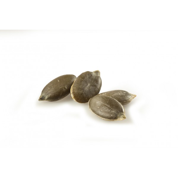 raw - dried nuts - PUMPKIN KERNELS RAW RAW NUTS